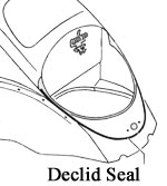 Decklid Seal, Rear, Bug ' 46 - ' 79